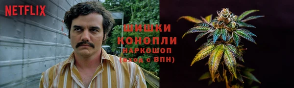 mdma Гусиноозёрск