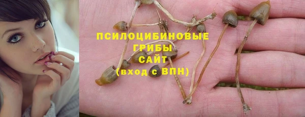 мяу мяу кристалл Гусь-Хрустальный