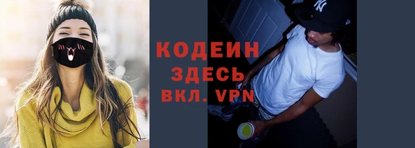 мяу мяу кристалл Гусь-Хрустальный