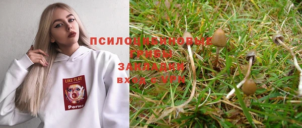 героин Гусев