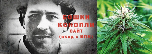 мяу мяу кристалл Гусь-Хрустальный