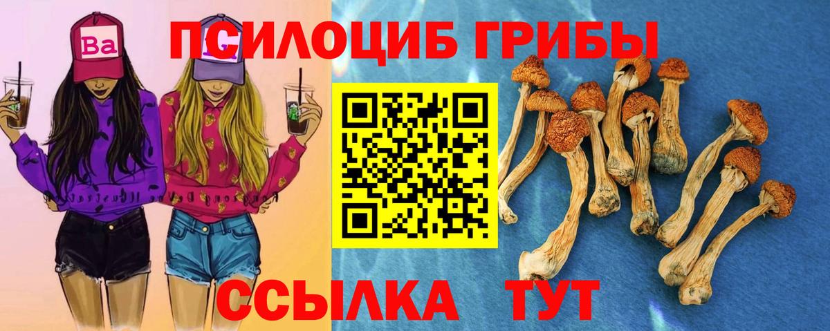 Псилоцибиновые грибы Psilocybine cubensis Заволжье